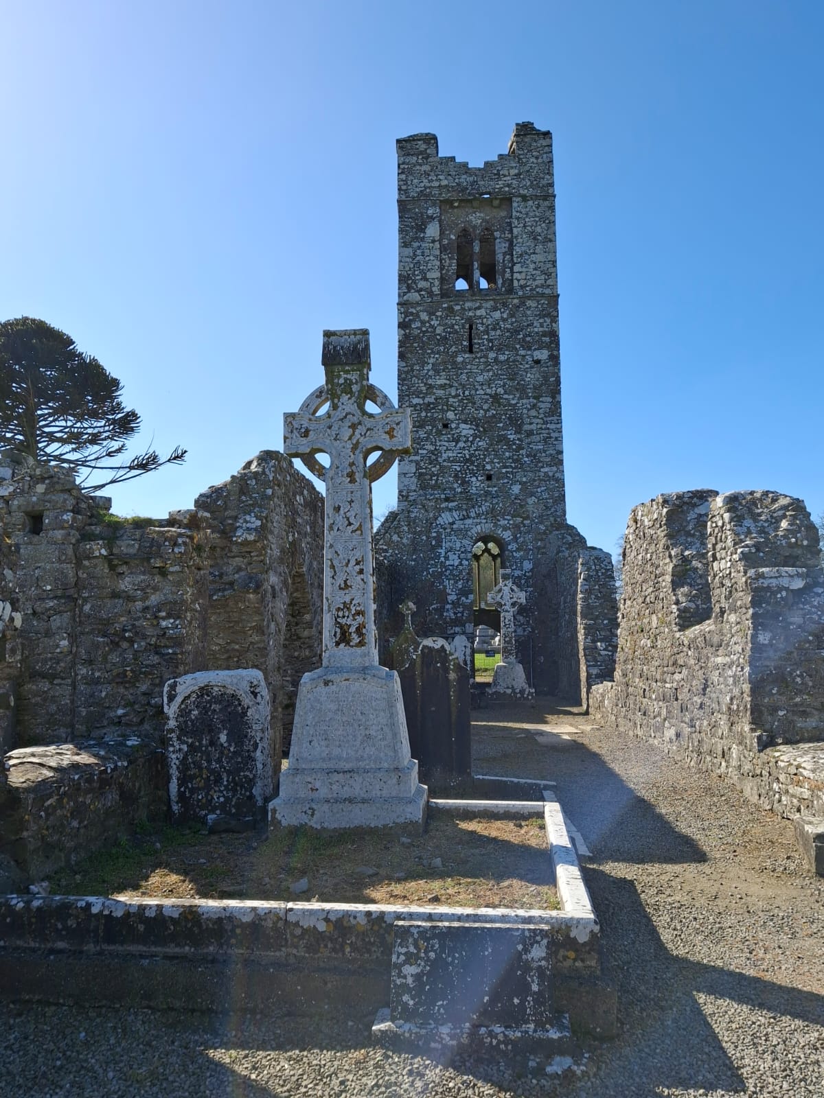 Pilgrim 3