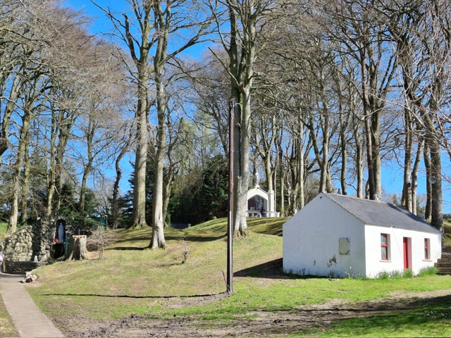 Pilgrim 5